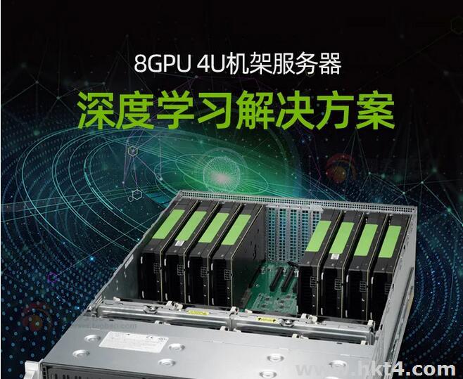 美國(guó)顯卡服務(wù)器哪里有?