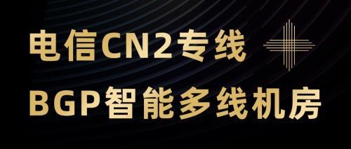 香港cn2站群服務器