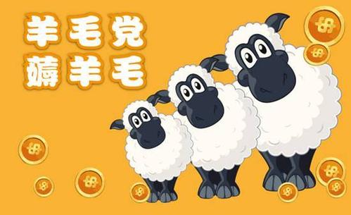 學生服務器哪家好？