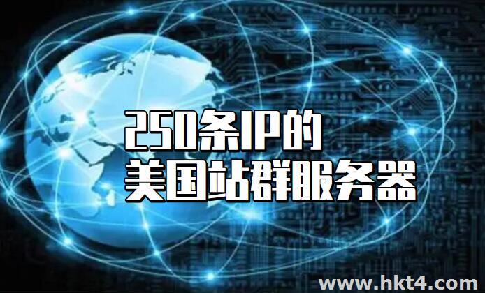 250條IP美國(guó)站群服務(wù)器