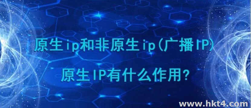 香港服務器原生ip