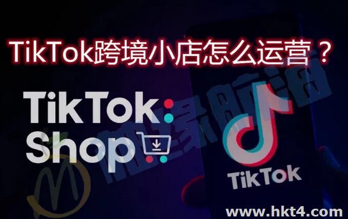 tiktok服務(wù)器企業(yè)識別碼