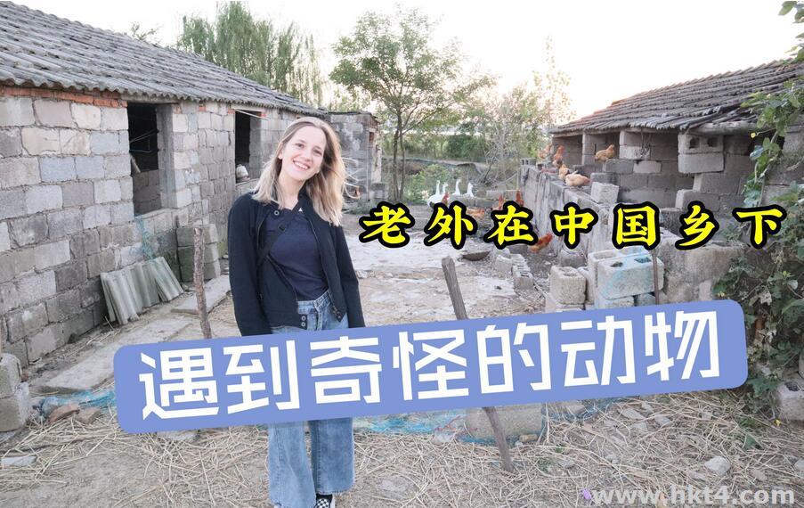 國外短視頻服務器