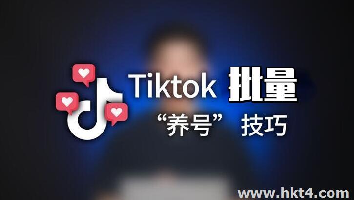 tiktok多ip服務(wù)器批量養(yǎng)號(hào)